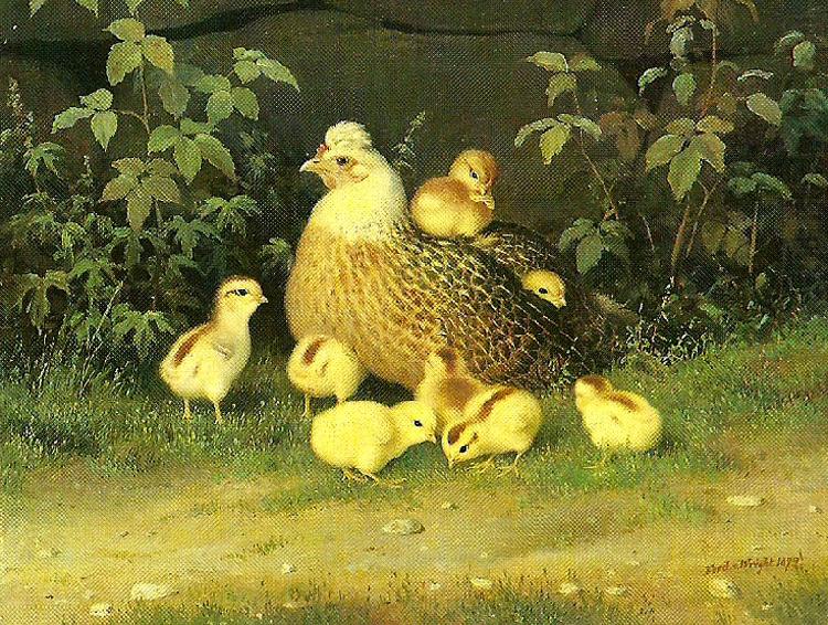 broderna von wrights hona med kycklingar china oil painting image